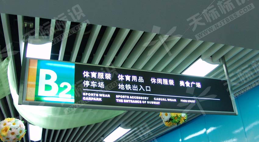 �̈����Ɵ���ָʾ��507