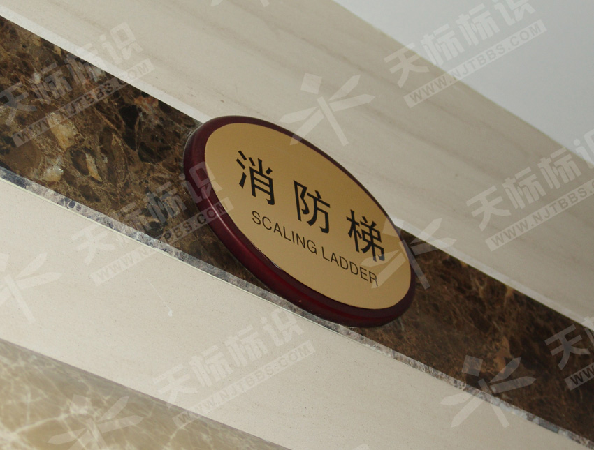 С�^(q��)�����N���T��594