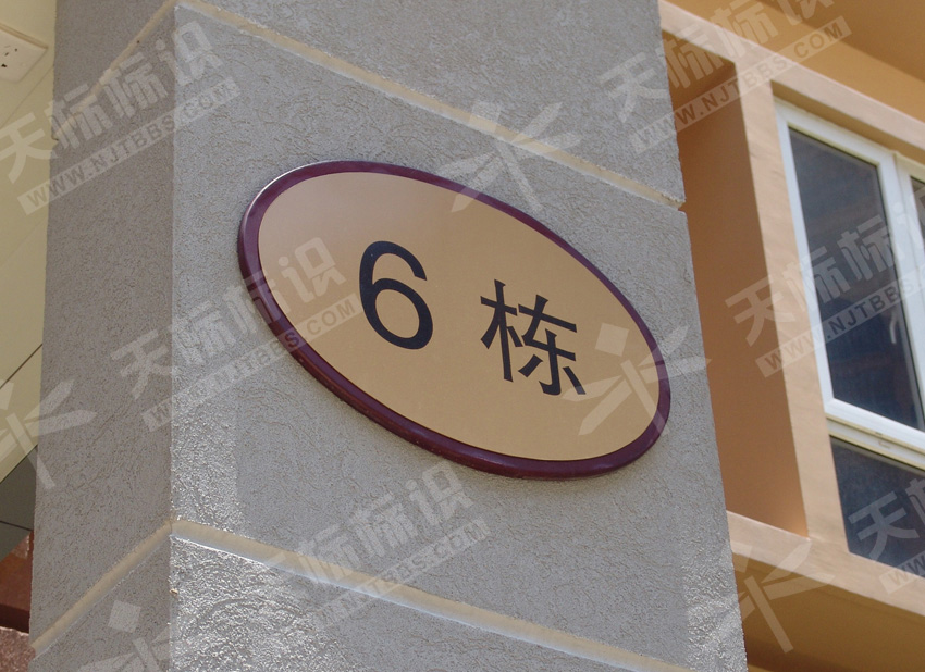 С�^(q��)�����N���T��596