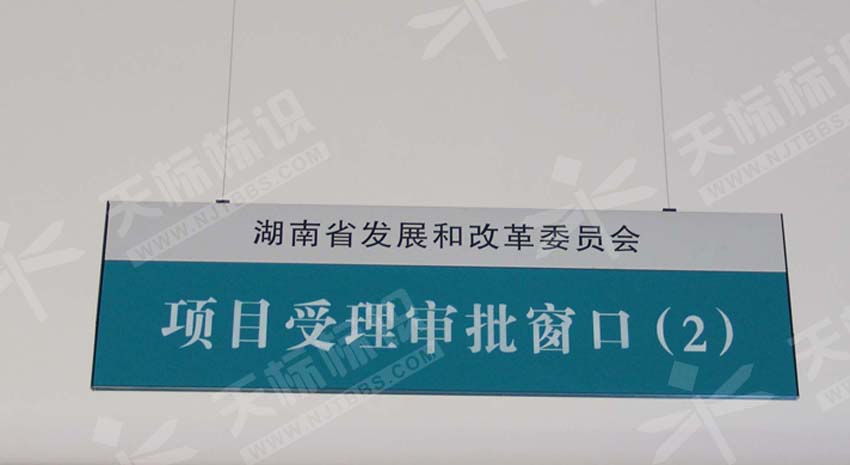 ƽ�����ָʾ��410