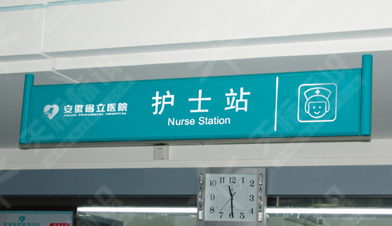 ����ָʾ��010