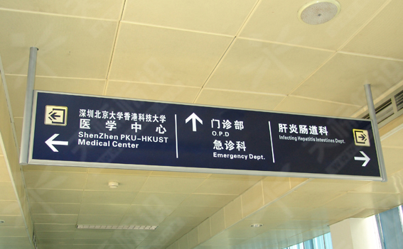 ���Ɵ���ָʾ��017