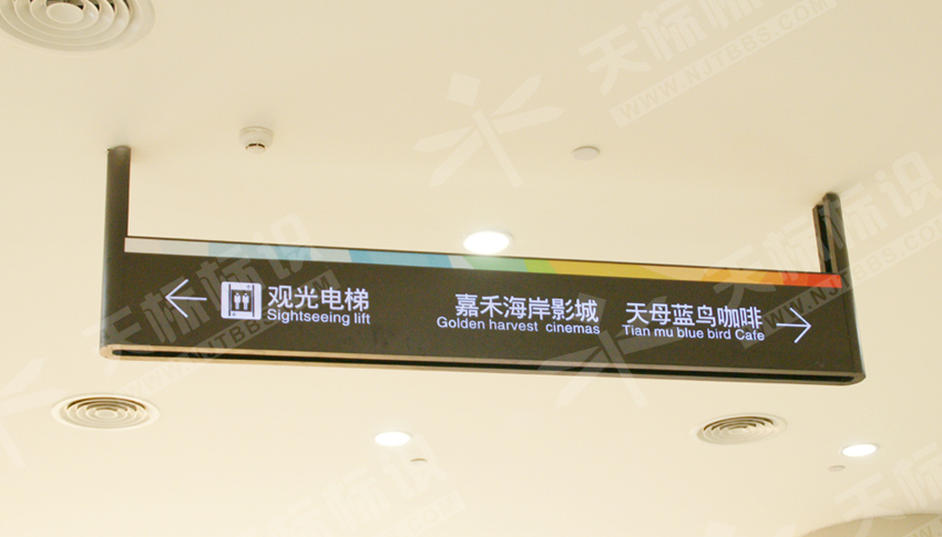 ����ָʾ��5005